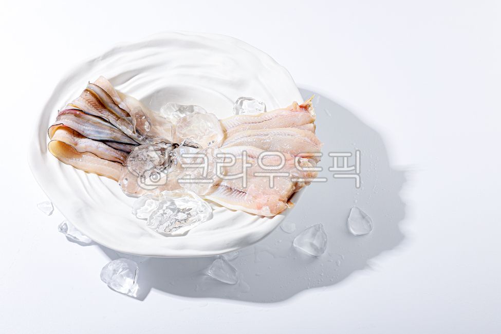 장어,그릇,원물,바다장어,민물장어,신선,수산물