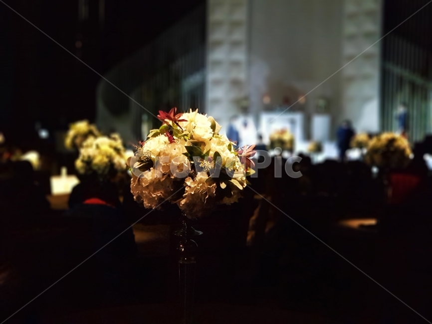 장식,결혼식,꽃,웨딩,결혼,배경,장면,디자인,로맨틱,테이블,축하,사랑,파티,생활,식물,자연,plants,nature,꽃,flower,실내용화초,화분,화초,house plant,결혼,혼례,웨딩,wedding,marriage,marry,기념일,축하,anniversary,congratulation,celebrate,celebration