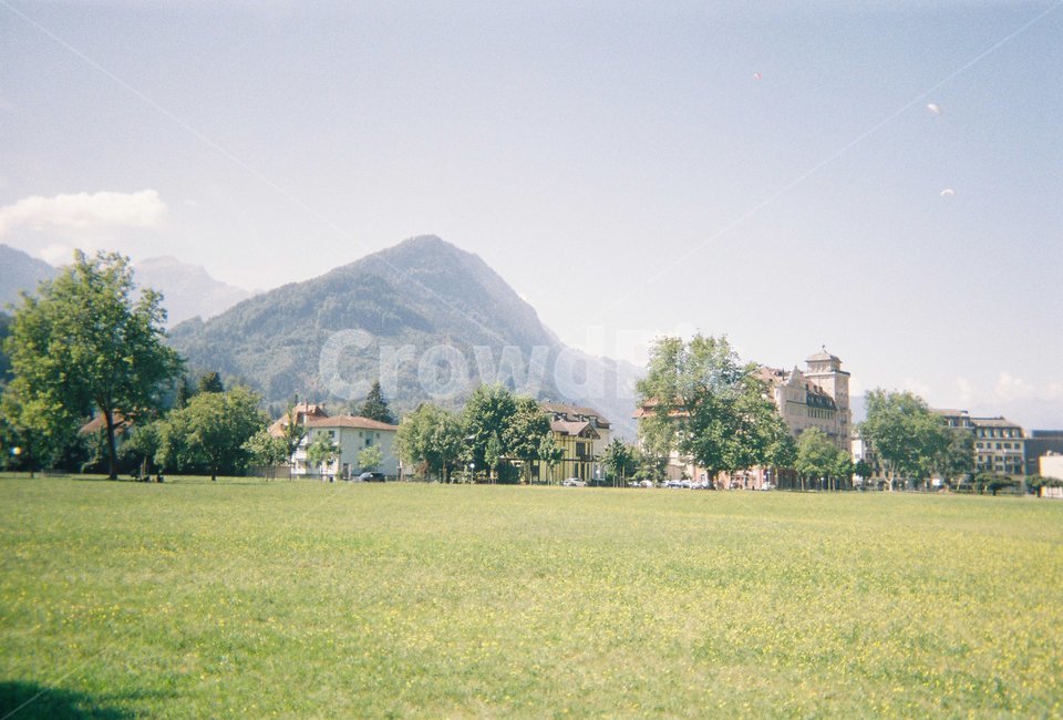 스위스,공원,풀,산,자연,나무,자연,풍경,nature,landscape,해외,외국,세계,foreign,oversea,world,세계자연풍경,해외자연풍경,외국자연풍경,world nature landscape,plant,식물,grass,잔디,lawn