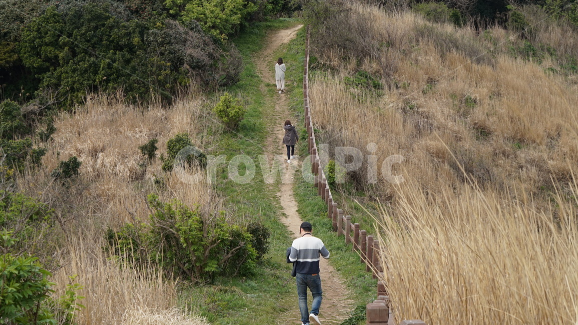 관음도,울릉도,person,human,인간,outdoors,옥외,갈대,감성