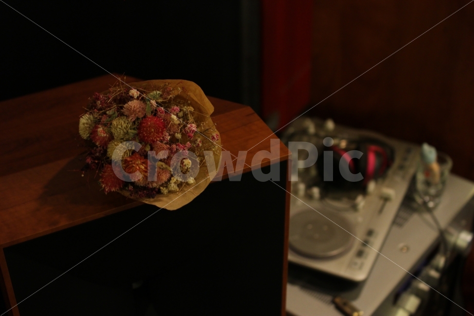 커피,카페,스페셜티,로스터리,인테리어,맛집,coffee,cafe,specialty,roastery,꽃다발,드라이플라워,안개꽃,소품,꽃,식물,자연,plants,nature,인테리어,실내디자인,interior design,꽃,flower