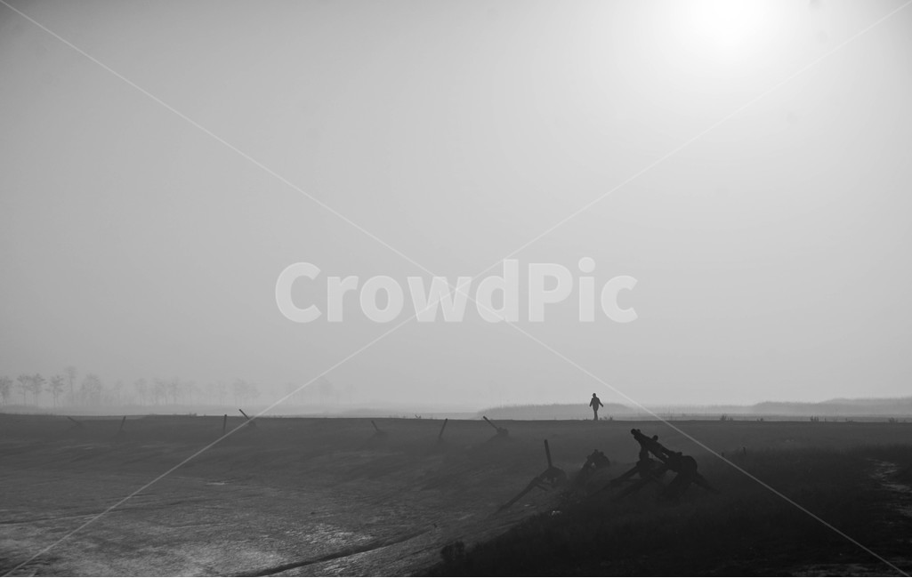 안개,소래,갯골,여명,나무,풍경,자연,풍경,nature,landscape,흑백,모노톤,monochrome,black and white