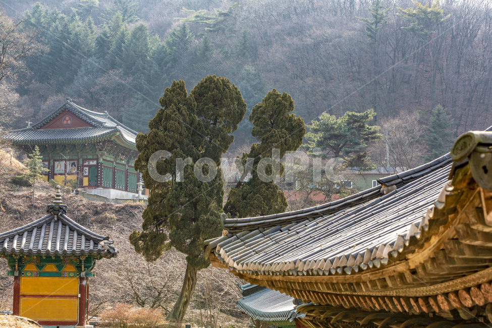 보광사,추녀,기와,기와지붕,하늘,전통건축물,사찰,고찰,문화유산,지붕,한국전통,한국문화,korean traditional,korean culture,건축물,건물외관,exterior,building,structure,architecture,construction