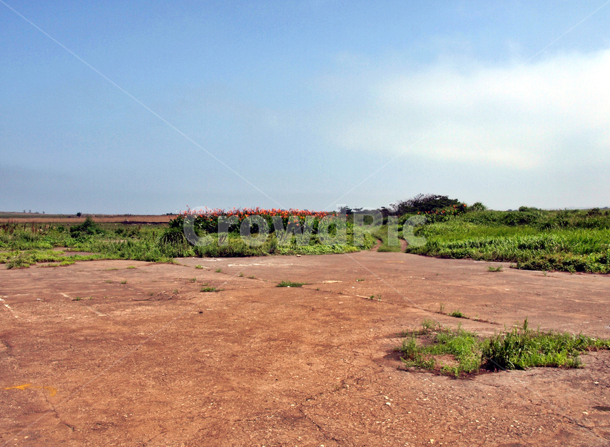 알뜨르비행장,올레10코스,올레,서귀포시,제주,자연,풍경,nature,landscape,ground,바닥,soil,흙