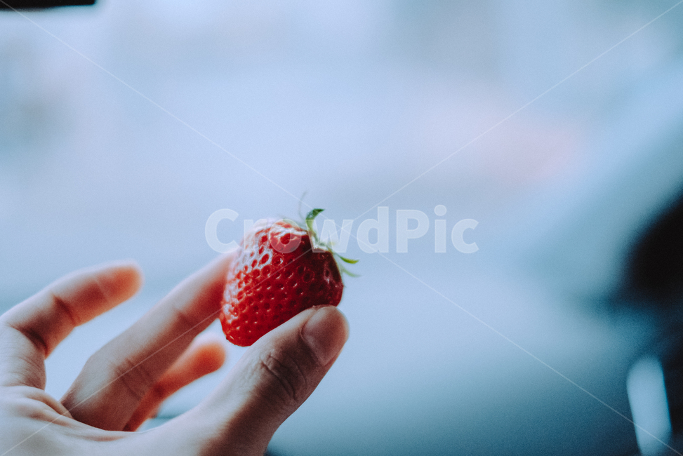 딸기,스트로베리,strawberry,fruit,과일,사람,인물,인간,human,person,신체일부,몸,body,음식,식재료,요리,food,cook,meal,dishes,food reserves,과일,열매,fruit,감성,sensible,feeling