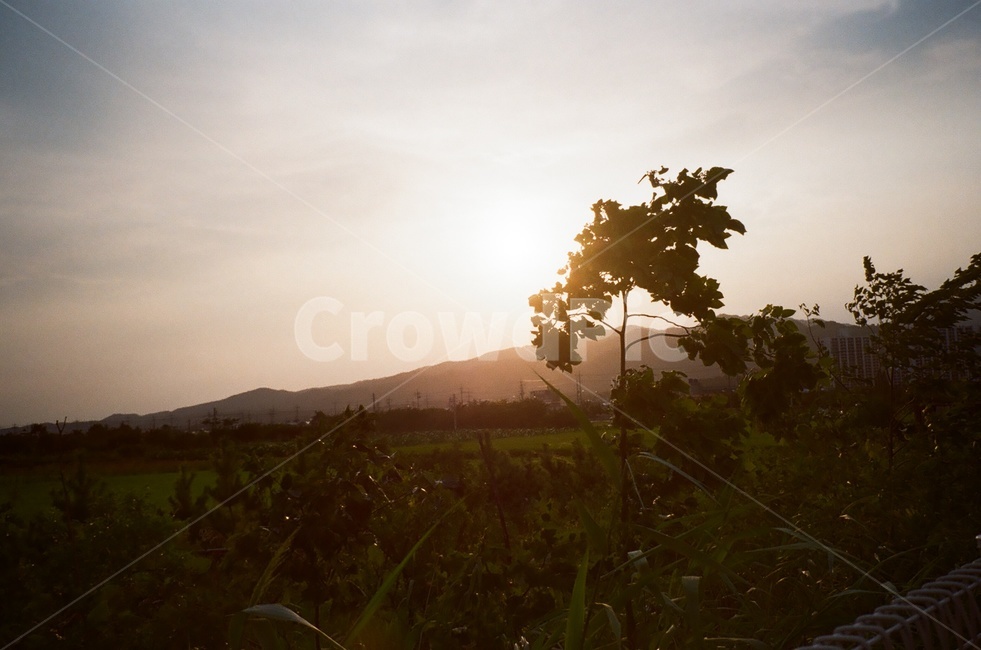 노을,해,일몰,하늘,필름카메라,자연,풍경,nature,landscape,감성,sensible,feeling,light,빛,flare,플레어,outdoors,옥외