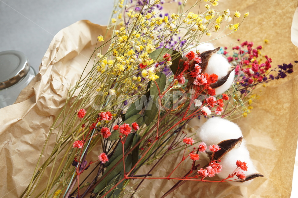 plant,식물,말린꽃,꽃다발,목화,드라이플라워