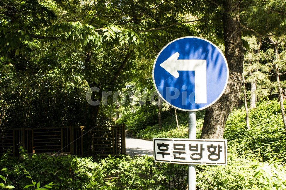 표지판,식물,나무,풍경,햇빛,감성
