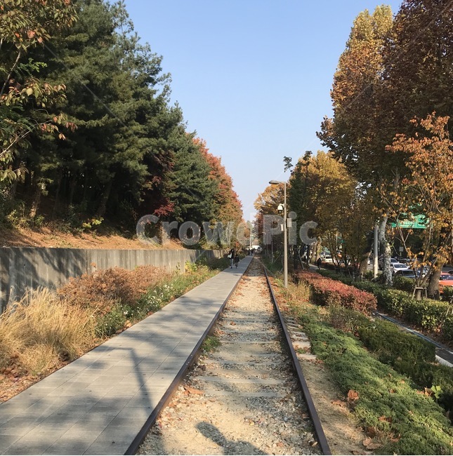 가을,철도,rail,기찻길,railway