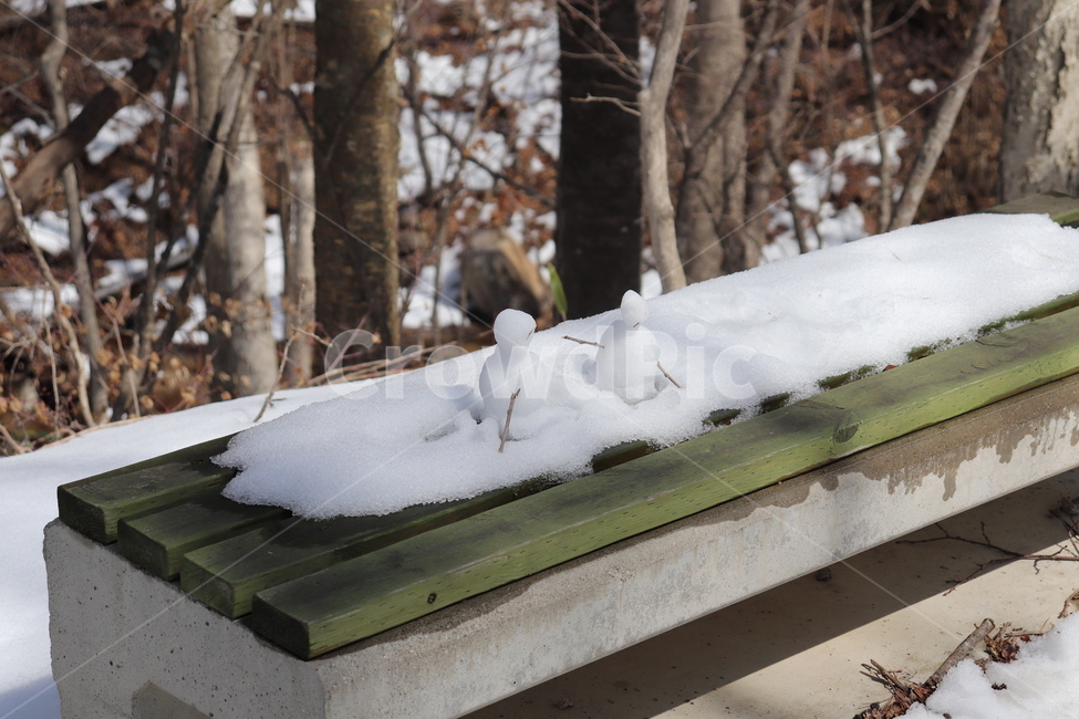 눈사람,공원,풍경,눈,벤치,겨울,계절,winter,season