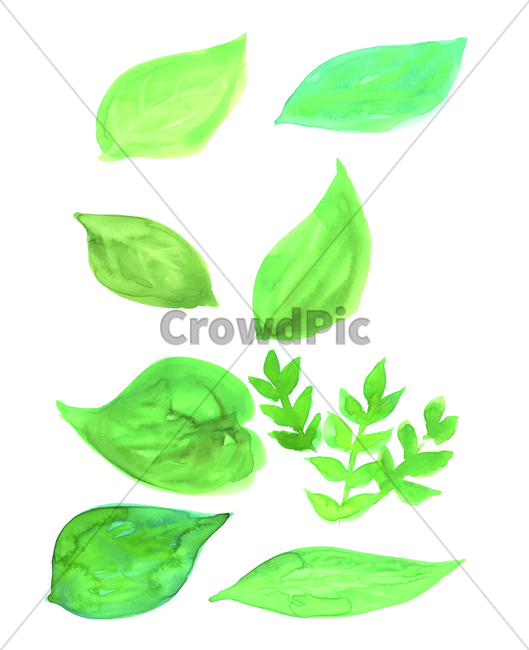 물감그림,손그림,watercolor,handdrawing,나뭇잎,leaf,foliage,umbrage,나뭇가지,bough,wig,sprig,branch