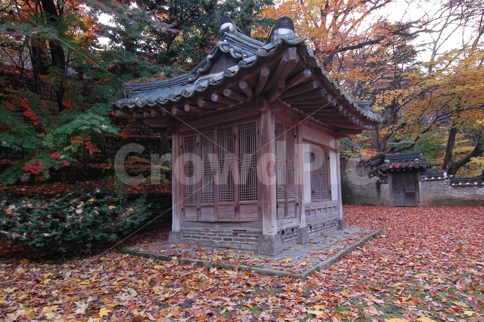 가을,단풍,창덕궁,비원,후원,가을풍경,정자,한국,한국전통,나뭇잎,자연,풍경,전통건축,관광,여행,전통,낙엽,가을,계절,fall,autumn,season,랜드마크,landmark,tourist attraction,한국전통,한국문화,korean traditional,korean culture,architecture,건축물,building,건물