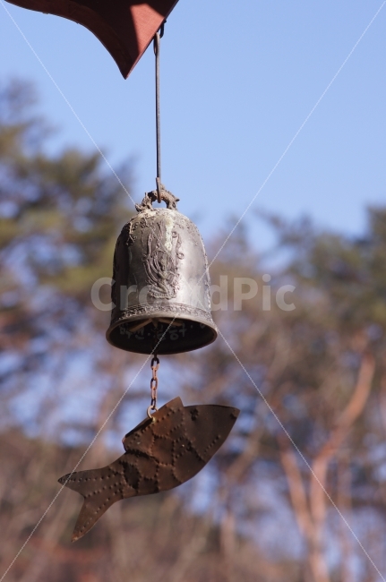 종,물고기,절,소니,사진,종교,신앙,religion,belief,faith,사물,물건,오브젝트,thing,object,matter