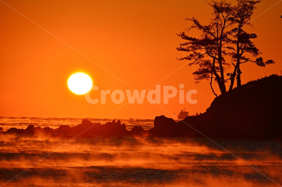 nature,자연,outdoors,옥외,sky,하늘,dawn,새벽,redsky,붉은하늘,sunlight,햇빛,울산,울주,명선도,명선도아침,일출,해돋이,여명,소나무,물안개,파도,강양항,자연,풍경,nature,landscape