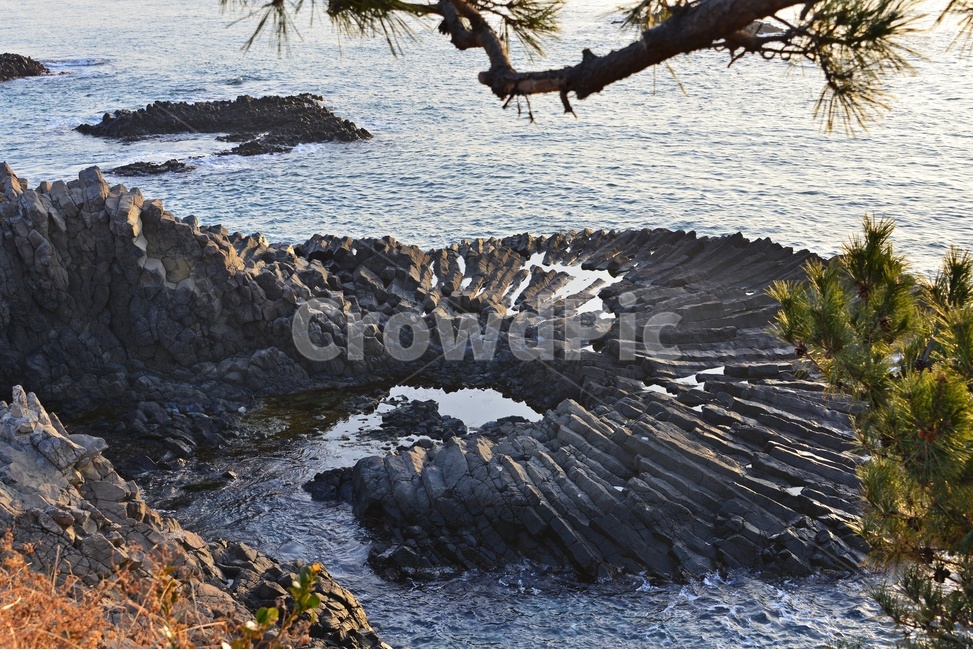 outdoors,옥외,nature,자연,water,물,ocean,대양,sea,바다,shoreline,해안선,coast,연안,해변,경주,양남,읍천,읍천주상절리,주상절리,읍천일출,아침,여명,dawn,새벽,자연,풍경,nature,landscape