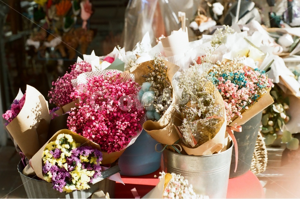 감성사진,꽃다발,안개꽃,꽃,flower,식물,자연,plants,nature,꽃,flower,기념일,축하,anniversary,congratulation,celebrate,celebration