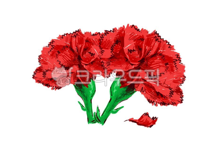 Teachers day,family month,green,carnation,Mothers Day,flower,Red,petal,flower illustration,plant,Carnation illustration