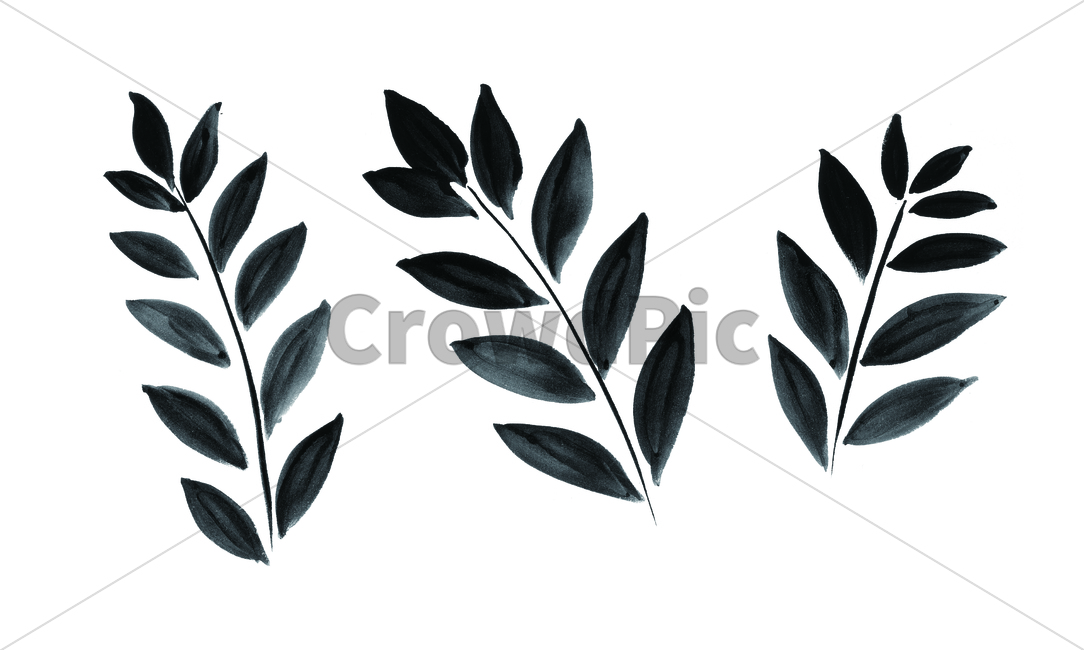 leaf,plant,식물,나뭇잎,잎,먹그림,흑백그림,흑백,손그림,그래픽,일러스트레이션,graphic,illustration
