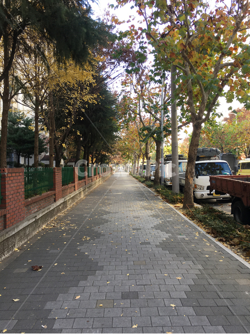 담,거리,나무,낙엽,도로,자연,풍경,보도블럭,생활,wall,street,sidewalkblock,nature,scenery,deciduous,tree,life,통로,path,판석,flagstone
