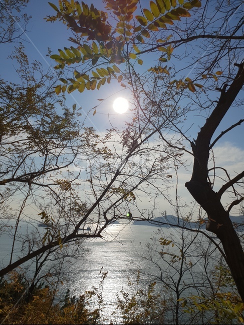태양,나무,하늘,바다,나뭇가지,sun,tree,sky,cloud,sea,감성