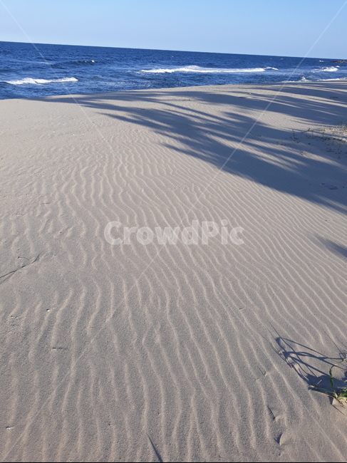 모래,바다,동해,물결무늬,가을바다,자연,풍경,nature,landscape,해변,바다,beach,sea,soil,흙,sand,outdoors,옥외