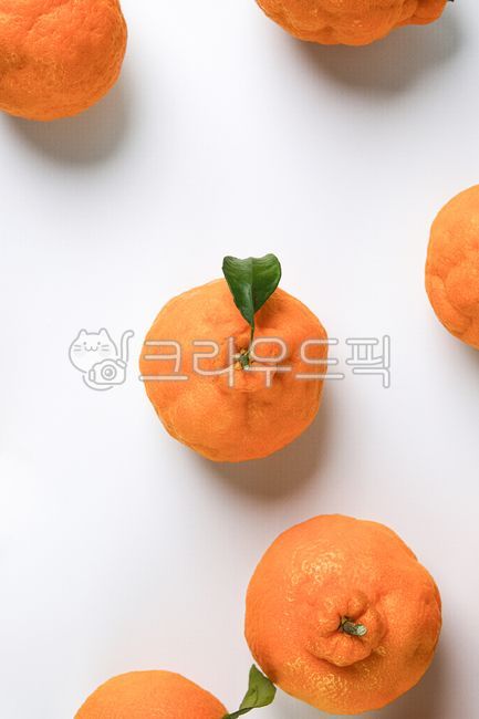 식재료,신선식품,열매,과일,한라봉,음식,식재료,요리,food,cook,meal,dishes,food reserves,과일,열매,fruit