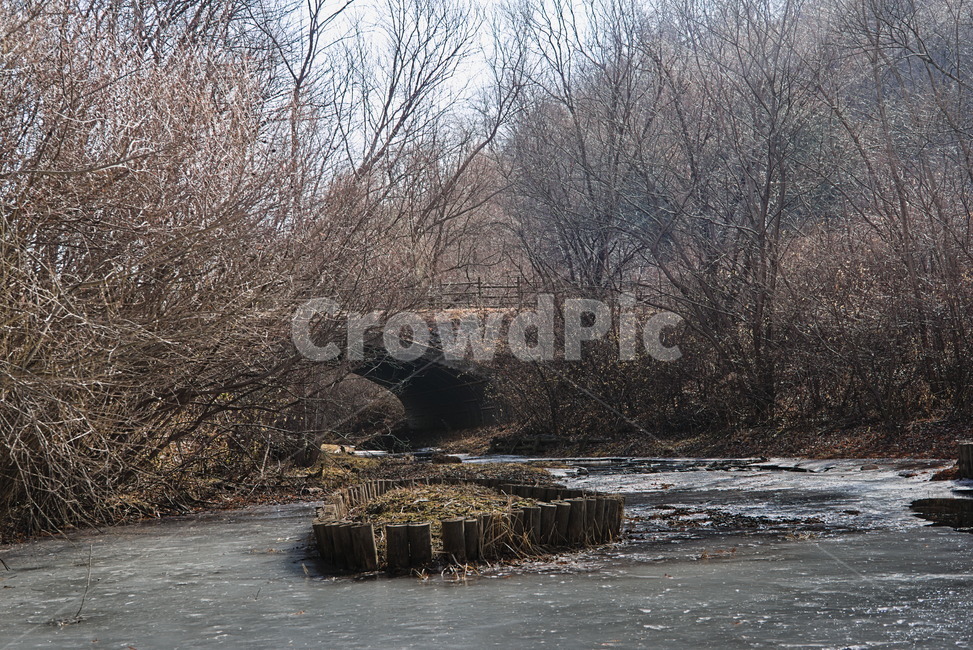 겨울,나무,얼음,추위,다리,계절,연못,winter,park,season,cold,감성,trees,woods,branch,leafless,겨울,계절,winter,season,자연,풍경,nature,landscape,water,물,outdoors,옥외,land,땅