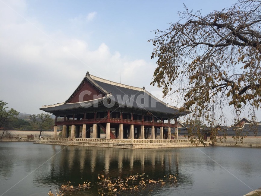 경복궁,궁,경회루,가을,물,건물
