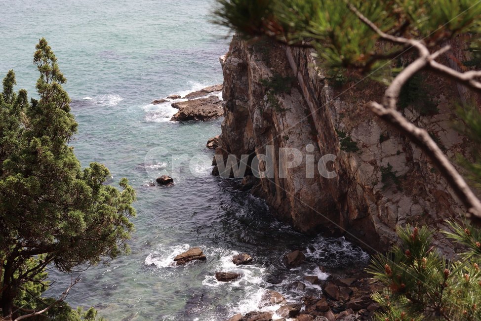 바다,절벽,바위,나무,나뭇가지,고화질,돌,stone,rock,시원함,sea,자연,풍경,nature,landscape,promontory,곶,cliff,낭떠러지,outdoors,옥외