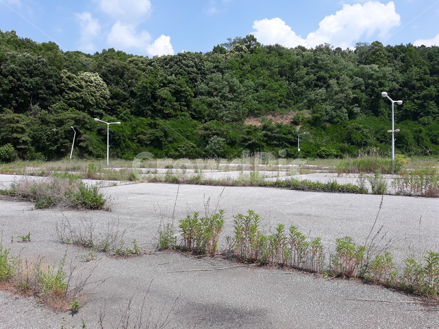 outdoors,옥외,nature,자연,plant,식물,grass,잔디
