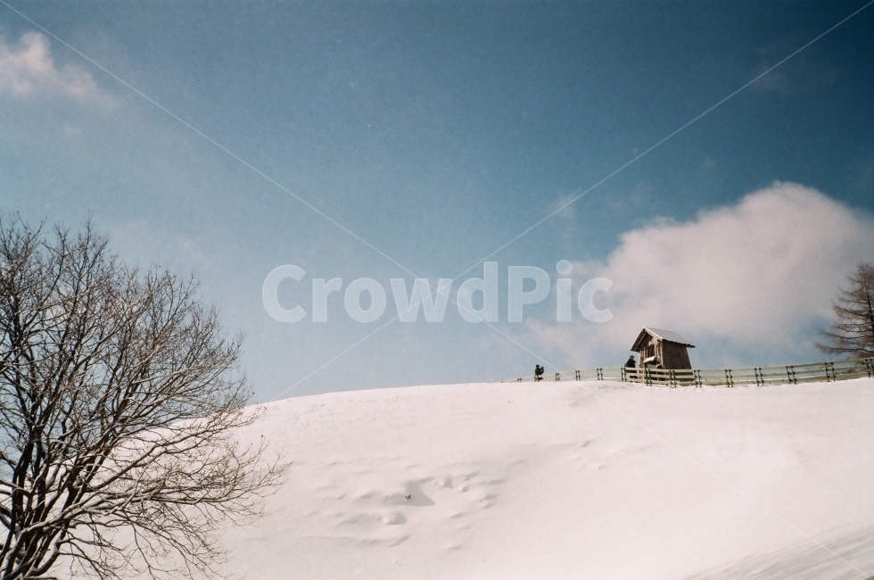 겨울,겨울풍경,설원,겨울하늘,눈,언덕,겨울언덕,하늘,대관령,겨울,계절,winter,season,자연,풍경,nature,landscape,한국자연풍경,한국자연경관,korea nature landscape,감성,sensible,feeling,soil,흙,outdoors,옥외