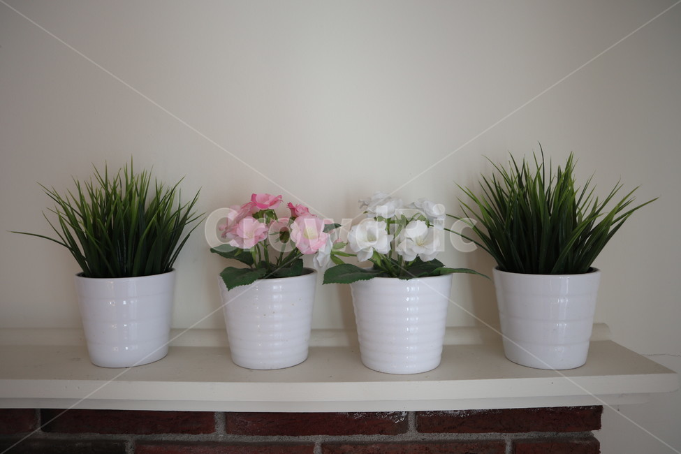 조화,화분,장식,돌벽,flower,꽃,핑크색,하얀색,식물,자연,plants,nature,꽃,flower