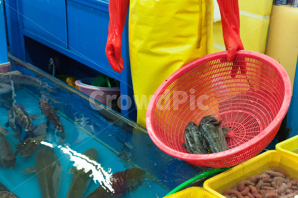 수산물,물고기,생선,수산시장,횟집,바구니,회,시장,마트,마켓,market,mart,market place,사람,인물,인간,human,person,신체일부,몸,body,음식,식재료,요리,food,cook,meal,dishes,food reserves,수산물,해산물,fishery products,seafood