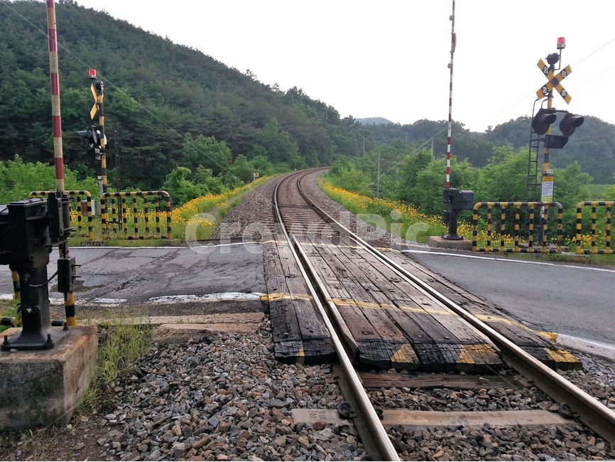 풍경,기차,기찻길,시골,철길,건널목,신호,열차,여행,교통,교통수단,traffic,transportation,train track,railway,철도,rail,레일