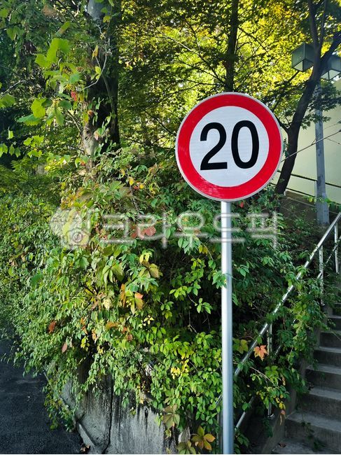 speeding violation,symbol,speed limit,20 kilometers,sign,tree,traffic sign,speed,traffic