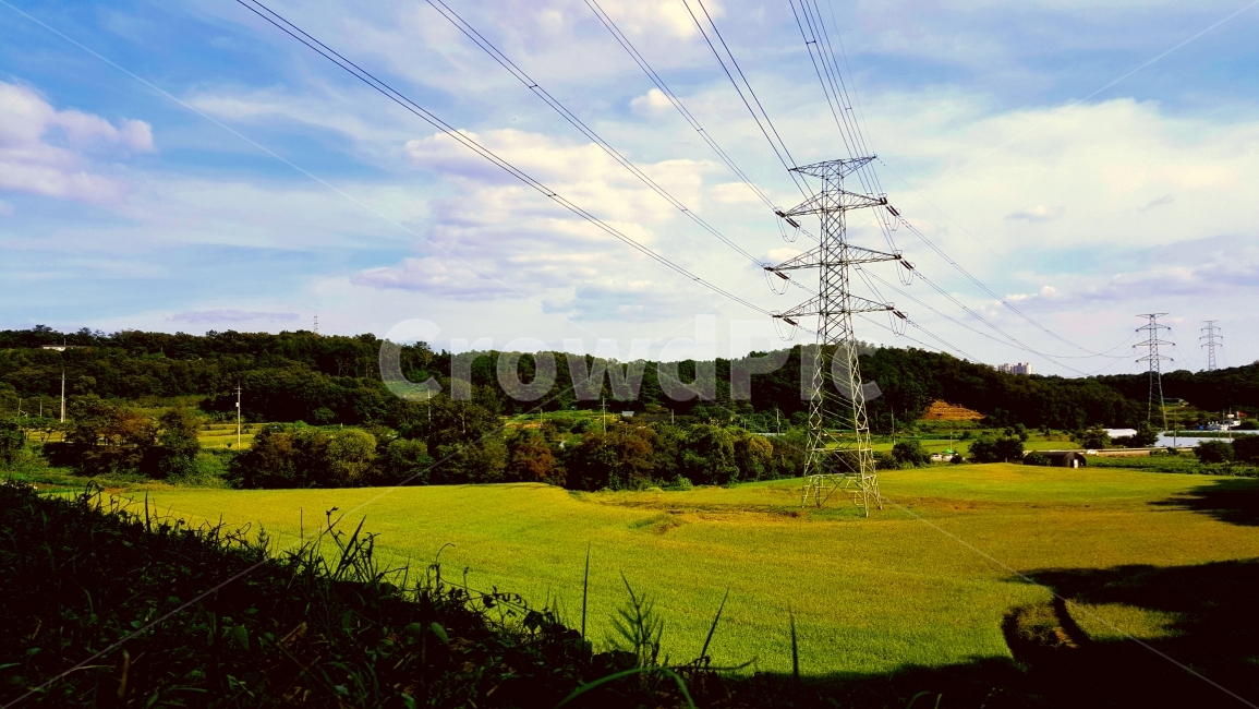 논,송전탑,가을,황금빛,벼,빛,시골,마을,풍경,landscape,country,rural,town