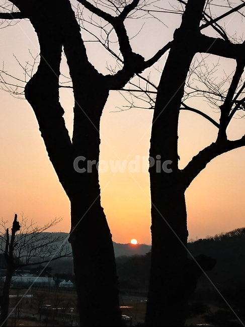 석양,일몰,태양,옥외,붉은하늘,하늘,sunset,outdoors,sunlight,황혼,경치,sky,redsky,nature,자연,풍경,nature,landscape