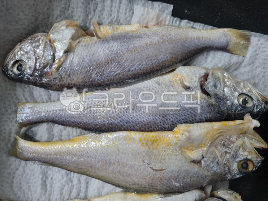 식재료, 요리재료, 음식재료, foodstuff, cookingmaterial, 사진,이미지,일러스트,캘리그라피 - 작가 DREAM작가