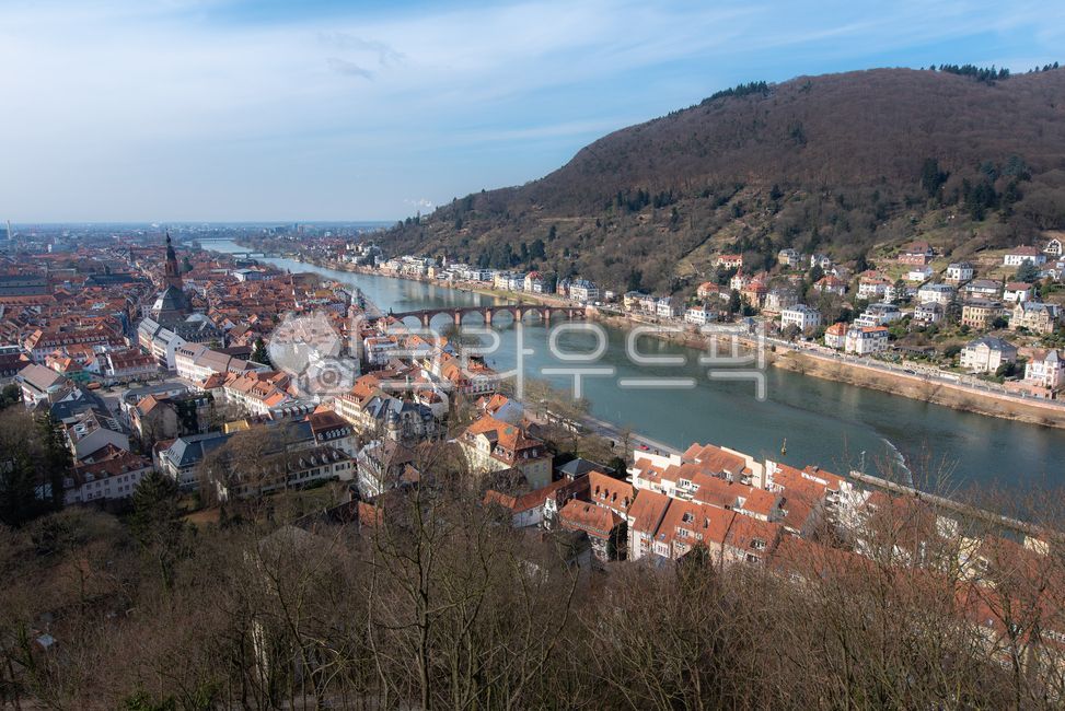 naturallandscape,germany,house,building,medievalcity,houses,cityscape,europe,educationcity,architecture,education city,nature,medieval city,heidelberg,natural scenery,river