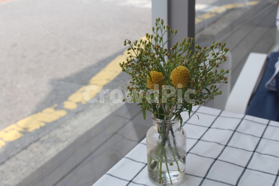 꽃,화분,장식,식물,인테리어,실내용화초,화분,화초,house plant