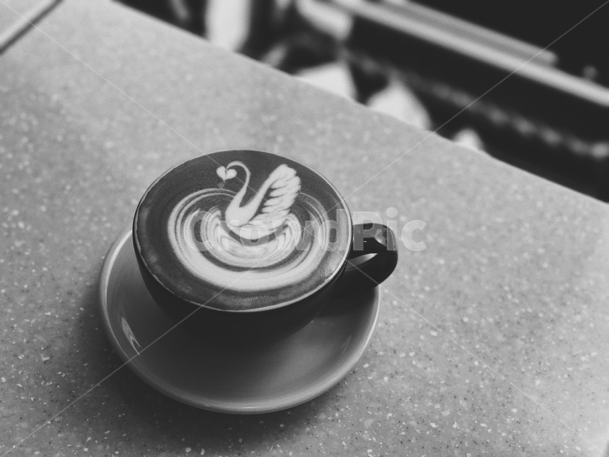 커피,라떼아트,coffee,latteart,커피음료,커피,카페,coffee,cafe,흑백,모노톤,monochrome,black and white