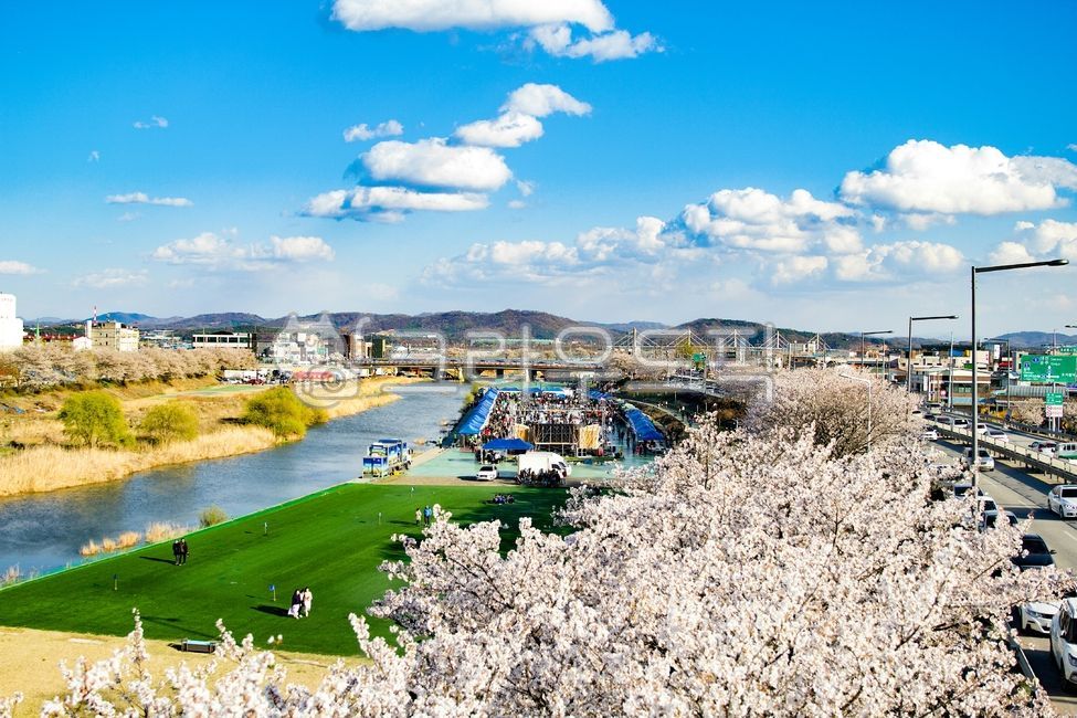 sky,cloud,spring,Cherry Blossom,blue,city,festival,sight