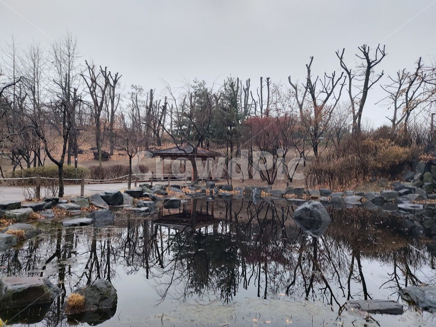 outdoors,옥외,nature,자연,water,물,연못,정자,흐린날