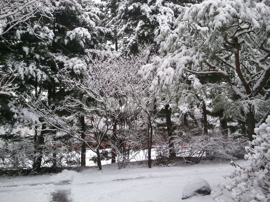눈,설경,snow,흰색,겨울,겨울,계절,winter,season,자연,풍경,nature,landscape,outdoors,옥외