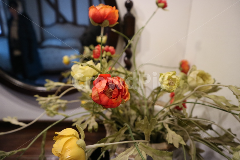 꽃,화분,식물,flower,plant