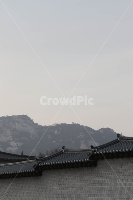 광화문,경복궁,지붕,전통집,전통지붕,뒷산,한국,서울