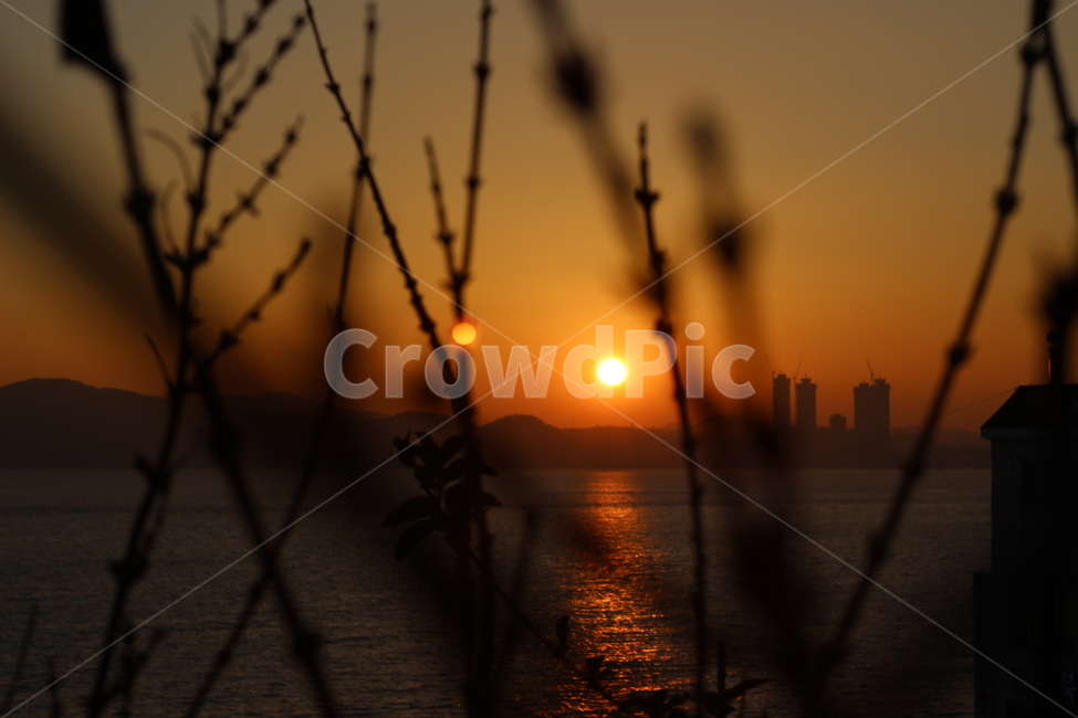 sunset,nature,light,redsky,일몰