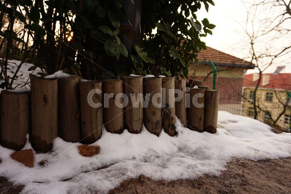나무,wood,공원,park,겨울,winter,눈,snow,tree,자연,natural,nature,목각,겨울,계절,winter,season
