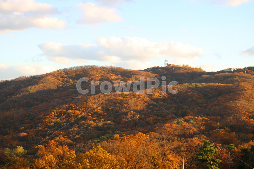 남한산성,산성,자연,풍경,가을,산,단풍,나무,공원,가을,계절,fall,autumn,season,nature,outdoors,옥외,hill,언덕