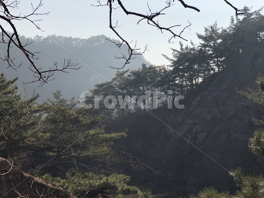 산,mountain,산맥,자연,nature,숲,숲속